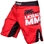 Legalize MMA Fightshorts - Black