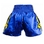 Lumpinee Champion Muay Thai shorts