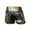 Dzhabar Askerov Muay Thai shorts