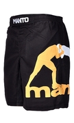 Fight shorts PRO 2.0 - Black