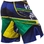 BRAZILIAN HERO FIGHT SHORTS - YELLOW/BLUE/GREEN