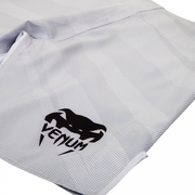 Radiance Fightshorts - Ice